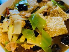 -陈麻婆豆腐总店