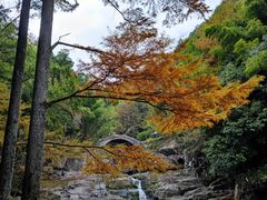 -丹山赤水风景名胜区