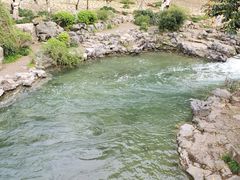-杭州张苍水先生祠