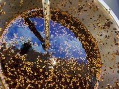 -苏记奶酪(二中店)