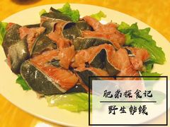 -金砂阿洲鱼册店