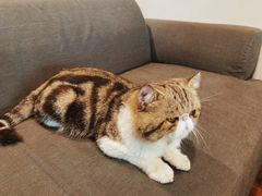 -参差咖啡(水果湖公园店)