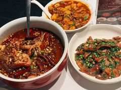 -柴门·头啖汤(天安千树店)