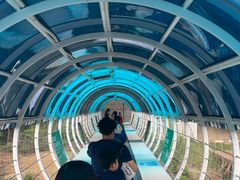 -盈香心动乐园