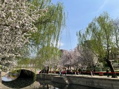 -元大都城垣遗址公园