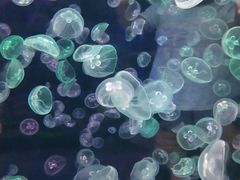 -多彩贵州城极地海洋世界