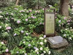 -城隍阁