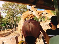 -清迈夜间动物园