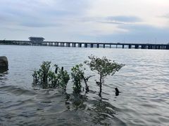 -星巴克(深圳前海企业公馆店)