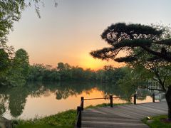 -新荣记(西溪湿地店)