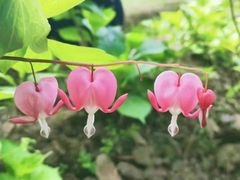 -江南大学(蠡湖校区)