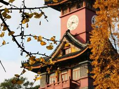 -四川大学(华西校区)