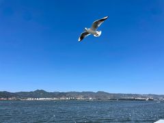 -海埂大坝