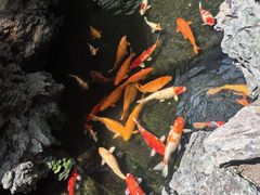 -白天鹅宾馆·流浮阁咖啡厅
