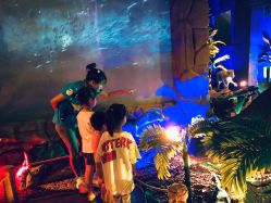 -恐龙探索乐园(磁器口店)