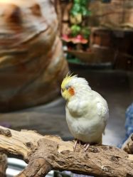 -Zoolung Zoolung动物主题公园(海信广场店)