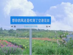 -空港花田景区