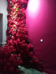 -戛纳印象摄影(潮拍定制馆)