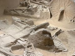 -洛阳周王城天子驾六博物馆