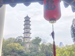 -江心屿景区