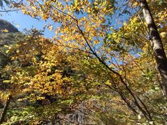 -明堂山风景区