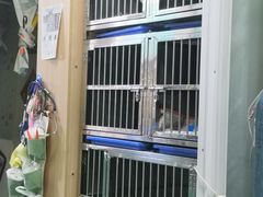 -邦泰·异宠动物医院