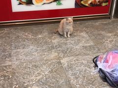 -赵记粽子(司前街店)