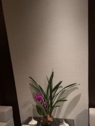 -文华东方水疗中心