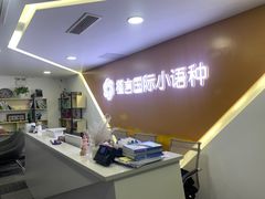 -槿言教育·雅思托福·国际教育·小语种培训留学中心(观音桥店)