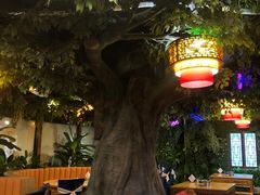 -茅台镇网红溶洞餐厅·茅帮菜馆