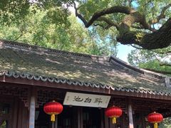 -上海醉白池公园