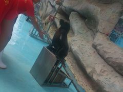 -泉州海丝野生动物世界