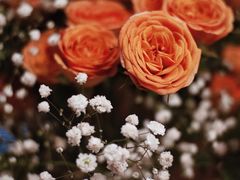 -循礼门鲜花花市(武汉循礼门店)