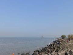 -上海滨江森林公园