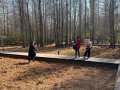 -溱湖国家湿地公园