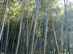 -同里国家湿地公园