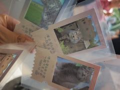 -青藏高原野生动物园