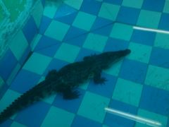 -水上乐园·欢乐世界