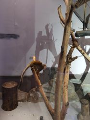 -未来动物城动物主题公园(大悦城店)