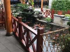 -顺德了能馆(虎门店)