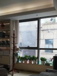 -碧莲盛·不剃发植发