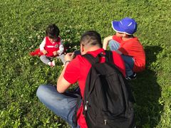 -合肥滨湖国家森林公园