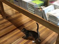 -猫的天空之城概念书店(杭州南宋御街店)