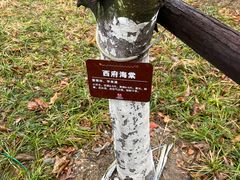 -苏州太湖国家湿地公园