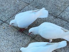 -大连海昌东方水城