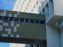 -香港大学