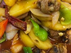 大盘鸡-老马家拉面(碧水花园东南)