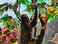 -陕西自然博物馆