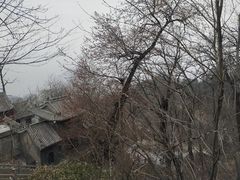 -终南山南五台景区