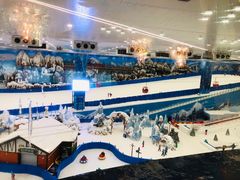 -长沙湘江冰雪世界